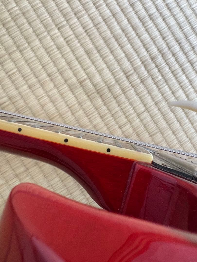 ブ*ク様 Epiphone SG Standard 61 Maestro Vib