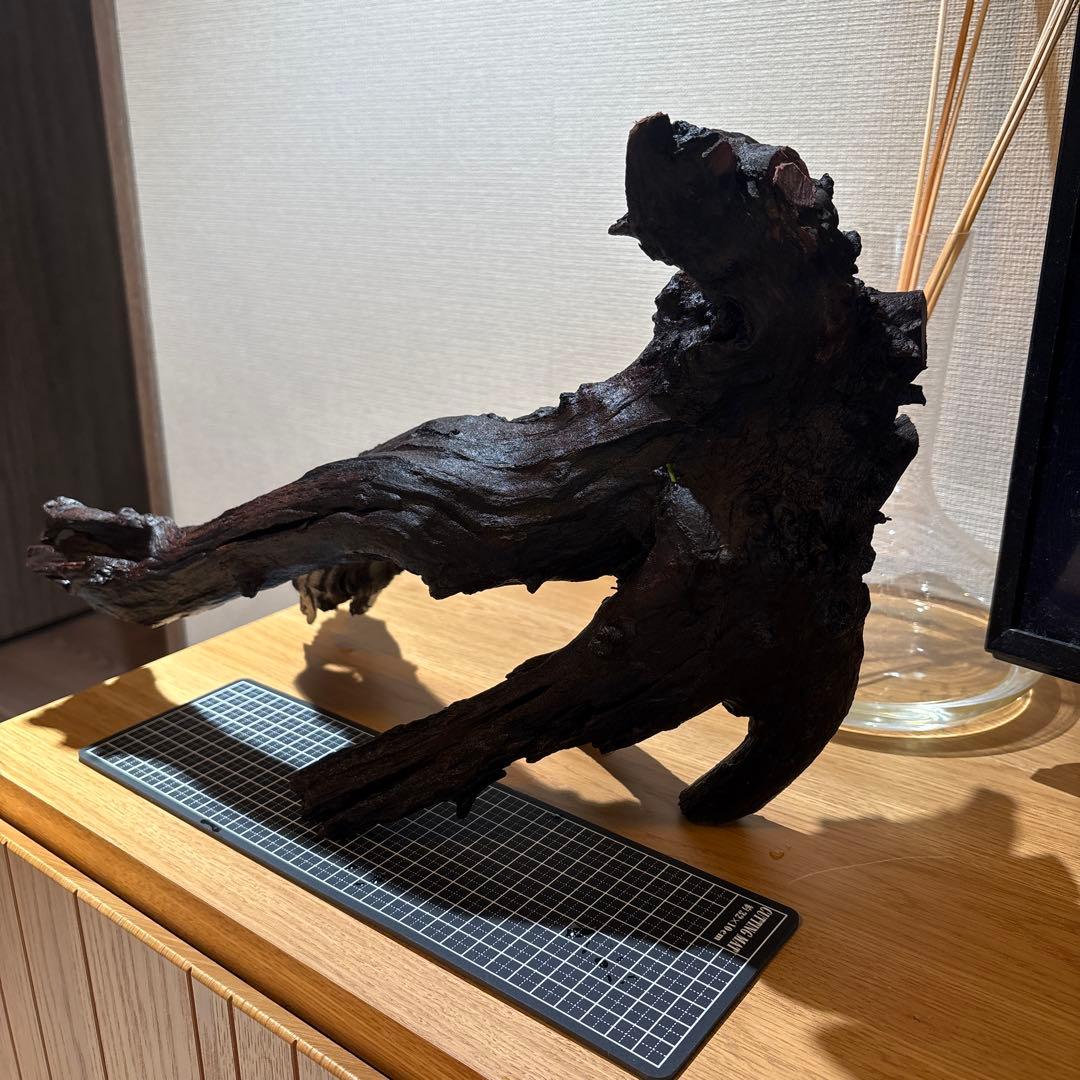 ADA流木　＊まとめ買いの場合は300円引き