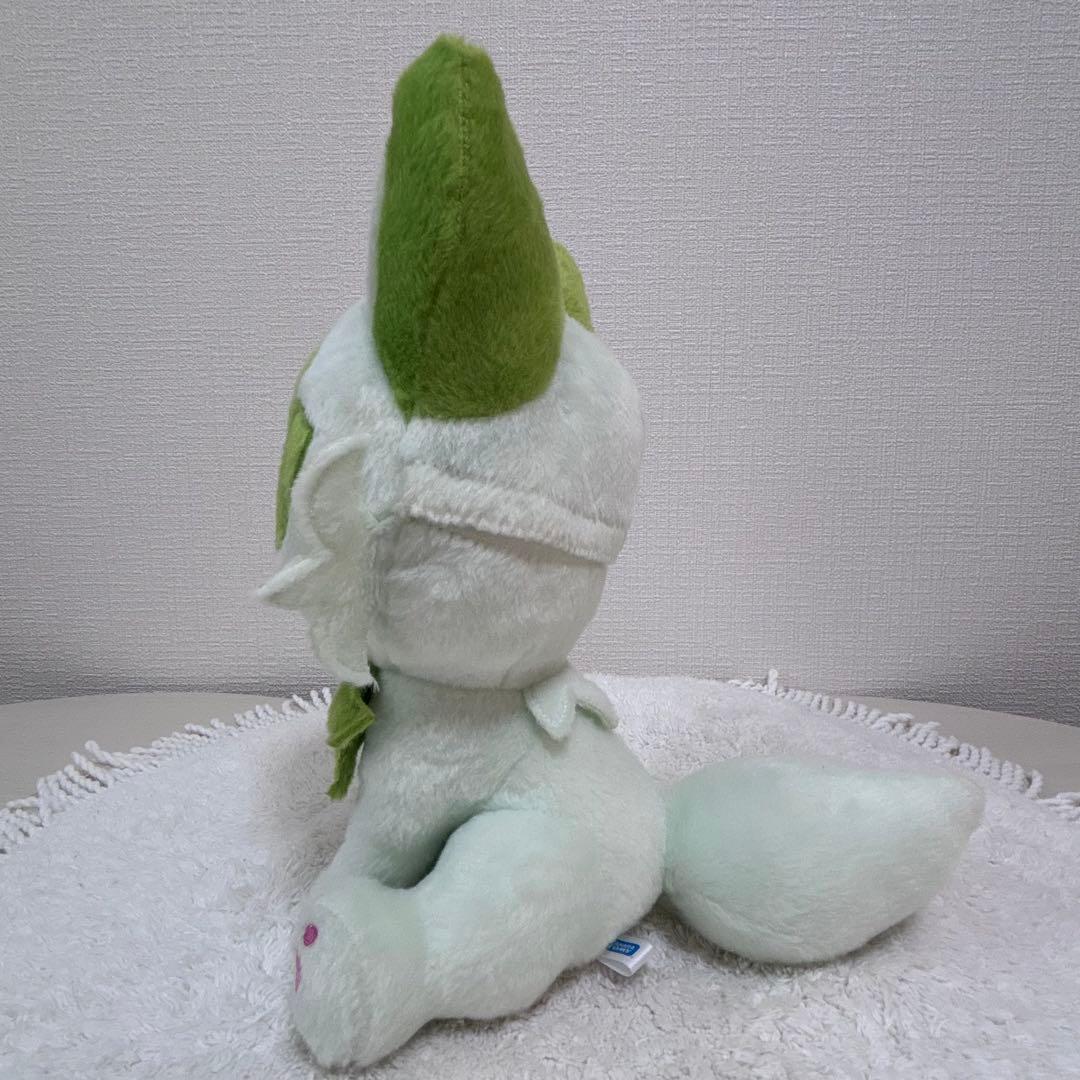 ポケットモンスター なでてみつめてぱちくりニャオハ