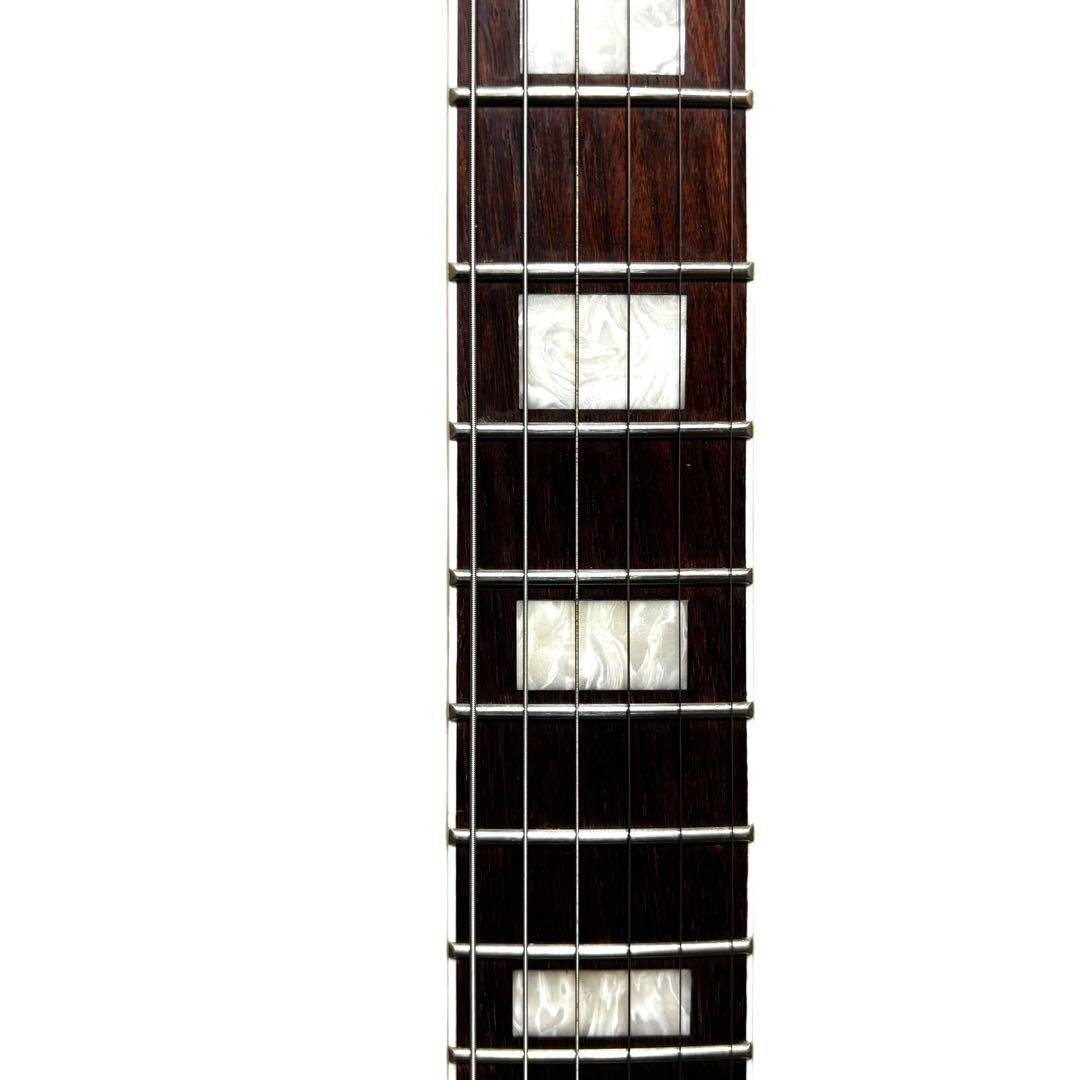 【希少】 Burny バーニー PLC-70 セミアコ ソフトケース付き