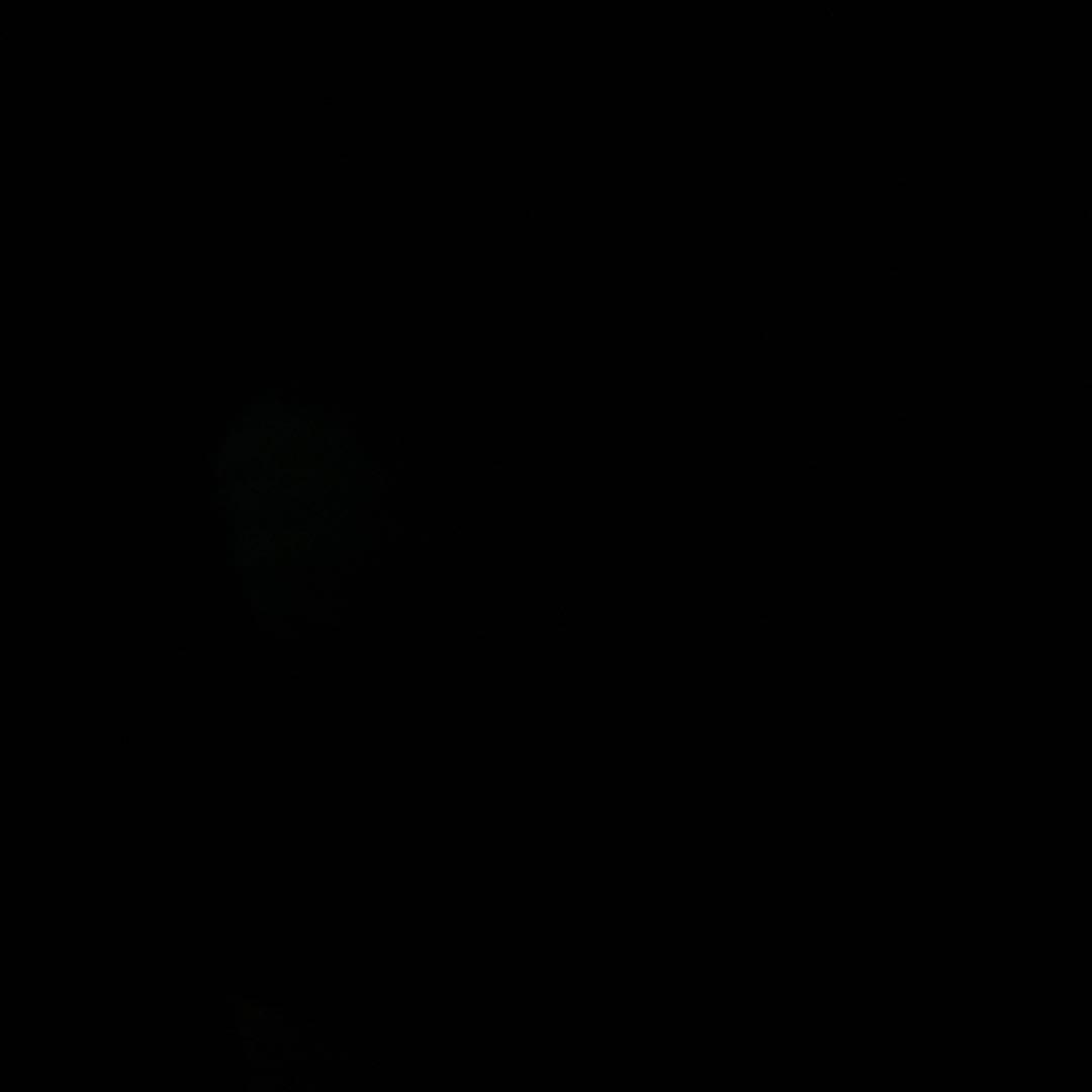 黒豆大豆