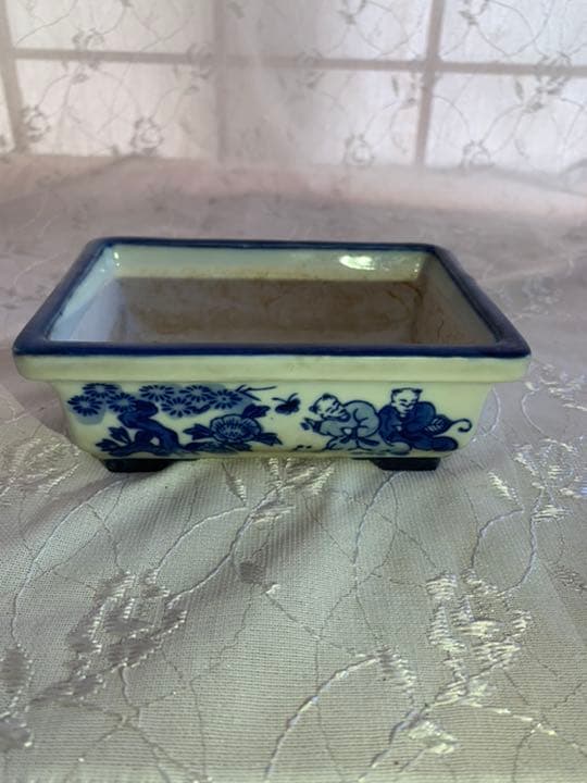 松泉　盆栽鉢