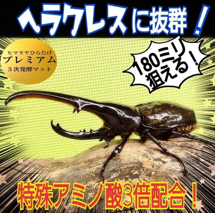 【3セット】10リットルケース入☆プレミアム発酵カブトムシマット☆幼虫入れるだけ