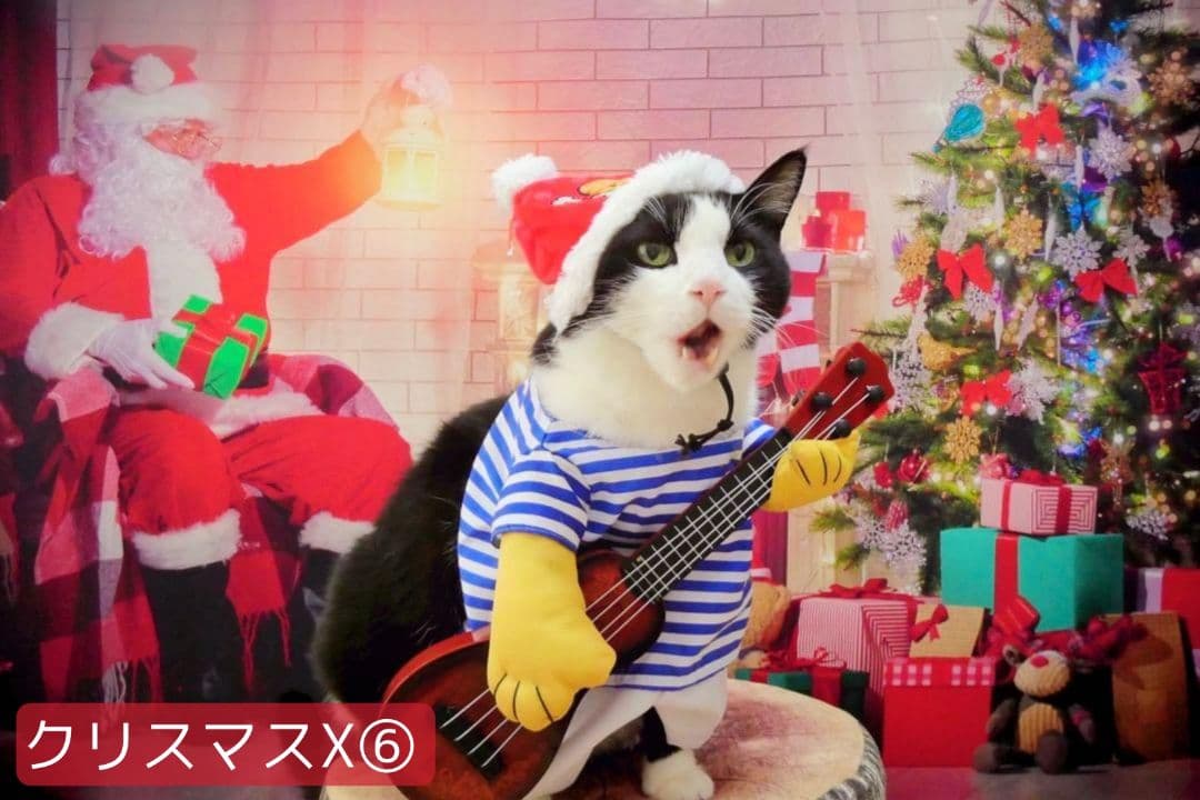 紅葉　背景布秋XD③　ペット撮影用　80×120cm　トリミングチョーカー販売中