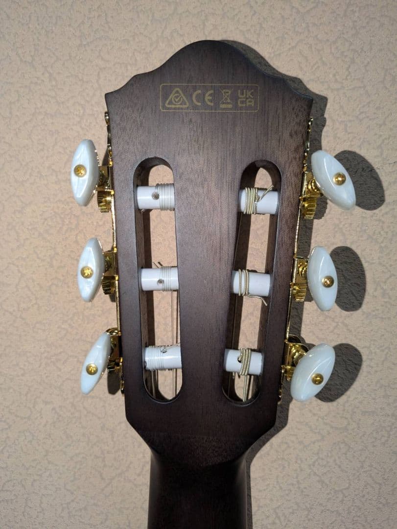 ギター ibanez TOD10N