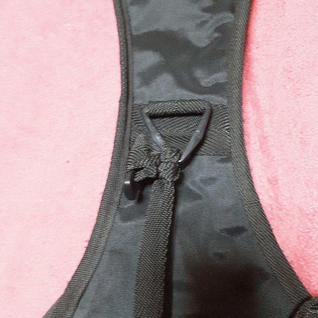 【良・美品】SKINペイント・SUGIZOモデル。ソフトケース&アーム付属。