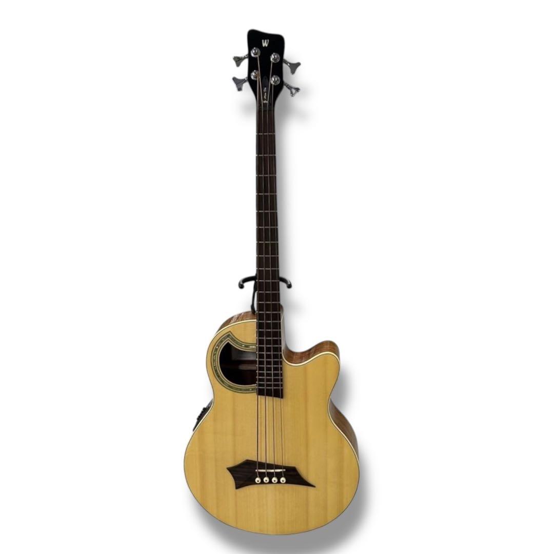Warwick Alien Deluxe 4弦 アコースティックベース