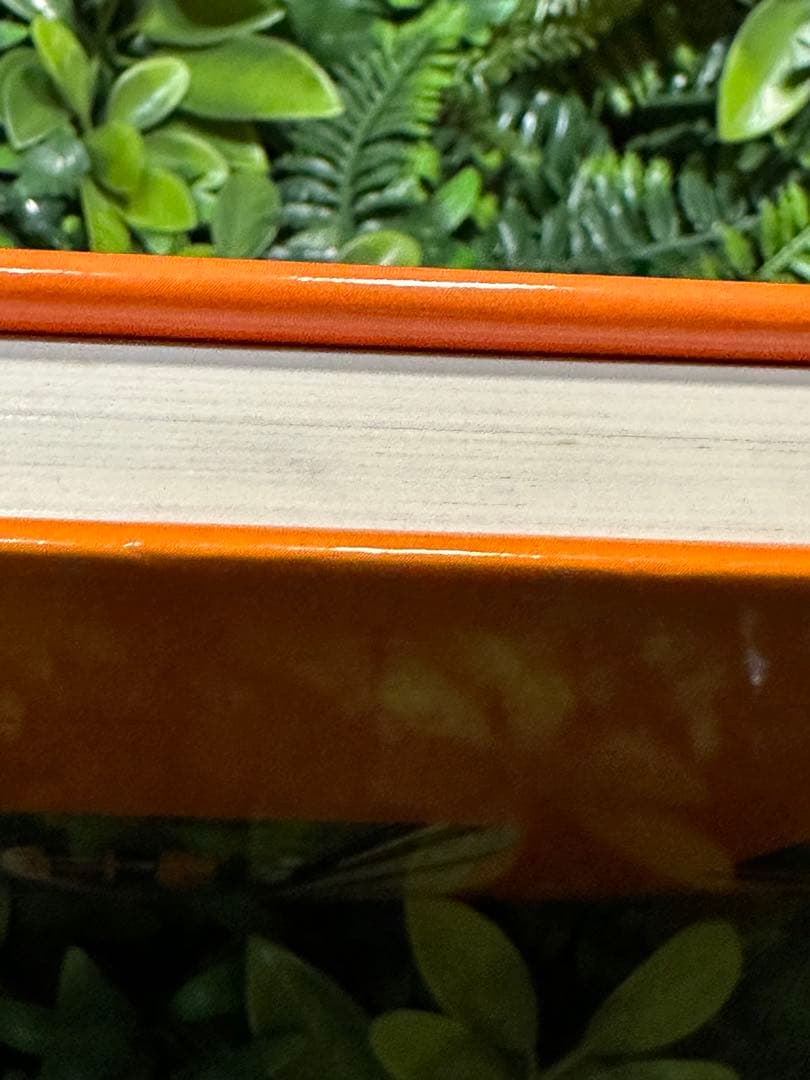 決定版 近鉄特急 寺本光照・林基一 共著 鉄道資料本