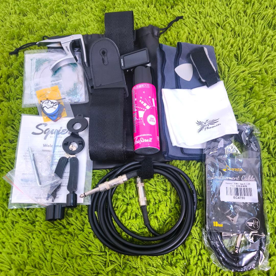 美品　Michael Kelly P90 シンラインテレキャスター アーチトップ