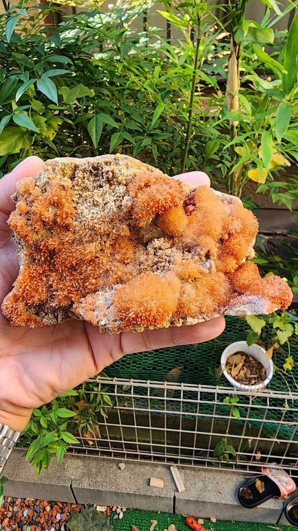 オレンジアラゴナイト