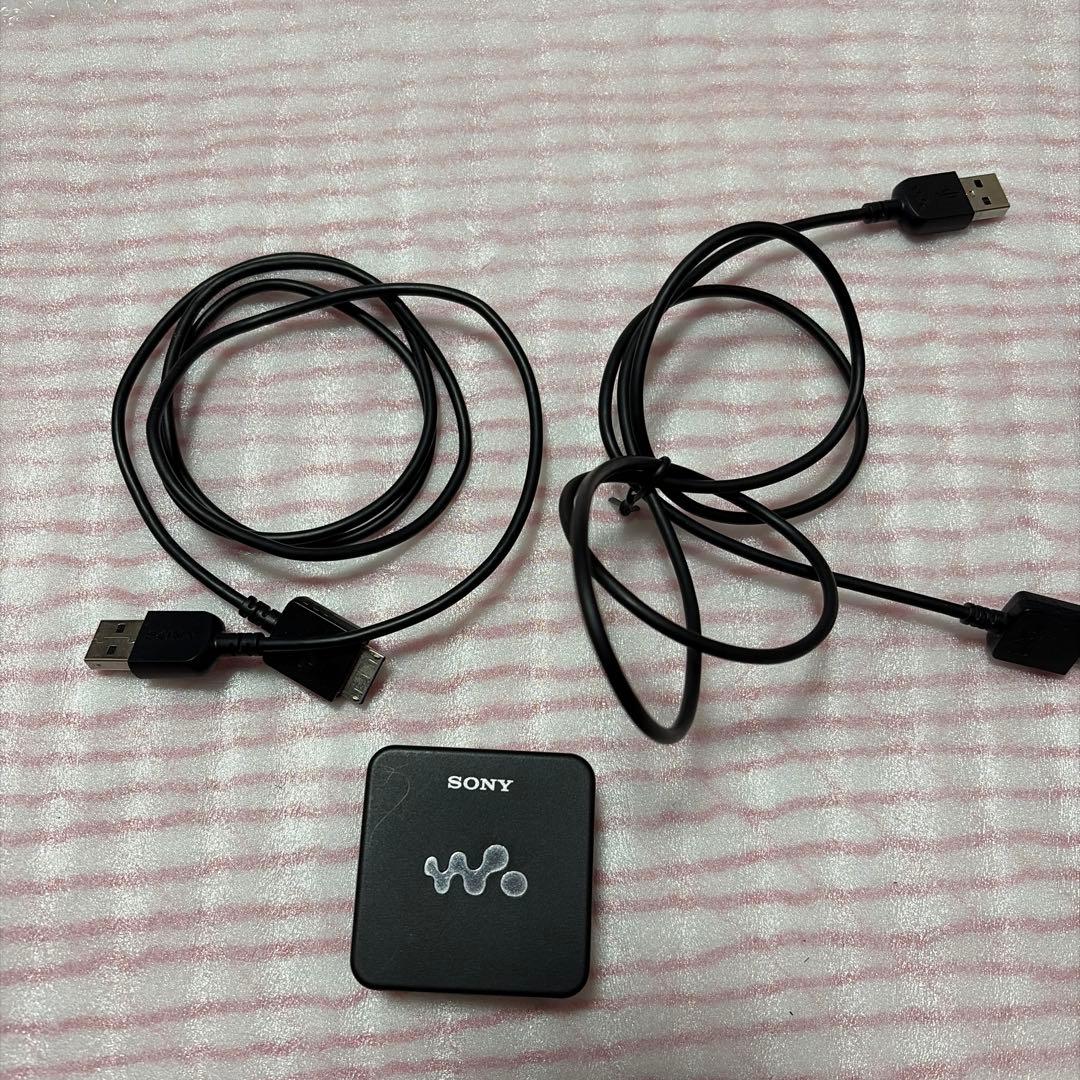 Sony NW-A45 レッド デジタルオーディオプレーヤー