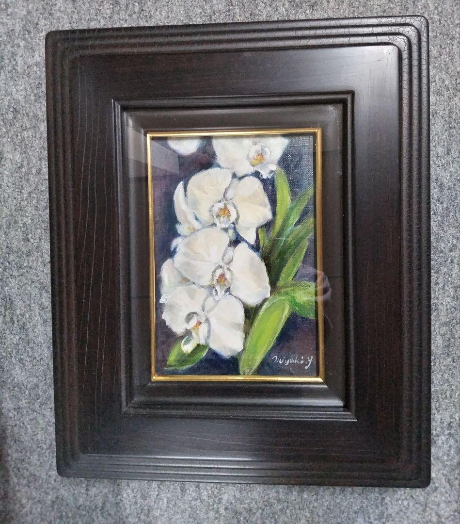 胡蝶蘭SMサイズ、保田三友紀の油絵作品。高級新品木製黒鉄 額縁付き