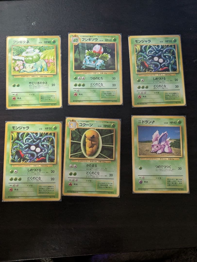 ポケモンカード　初版　第一弾　マークなし　フシギダネ　旧裏　引退　押し入れ