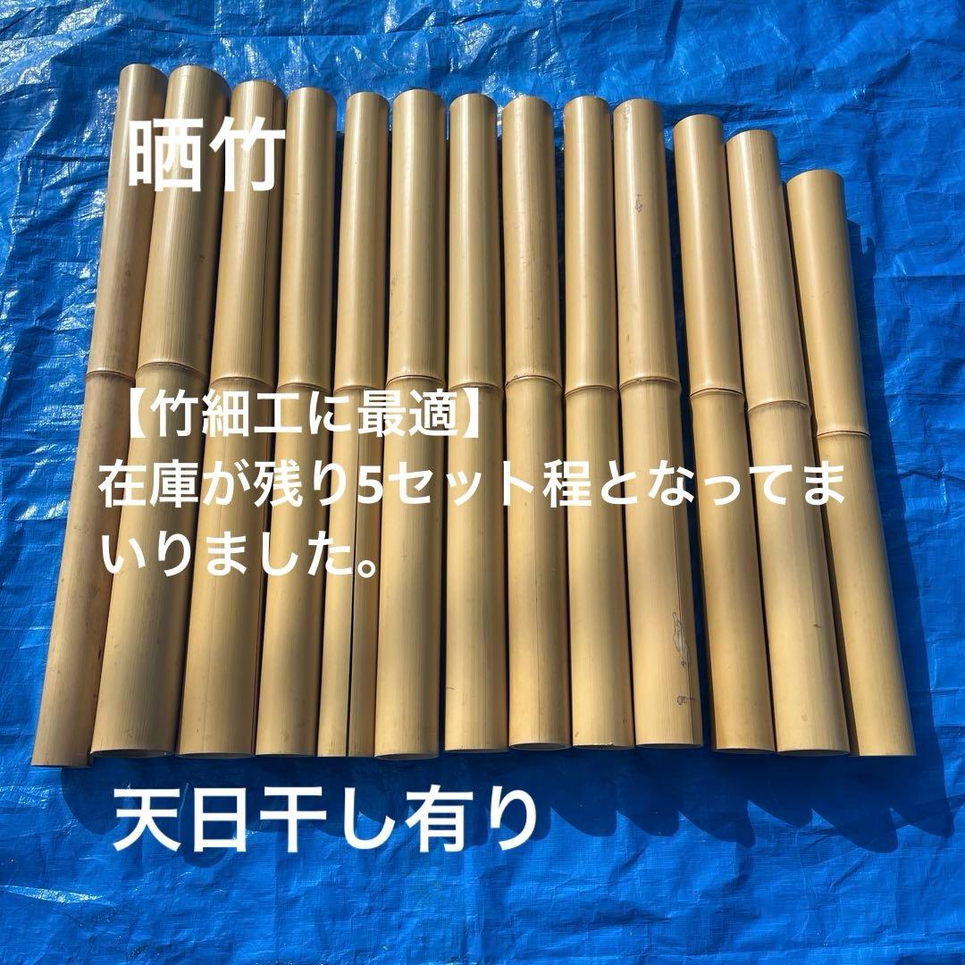 晒竹