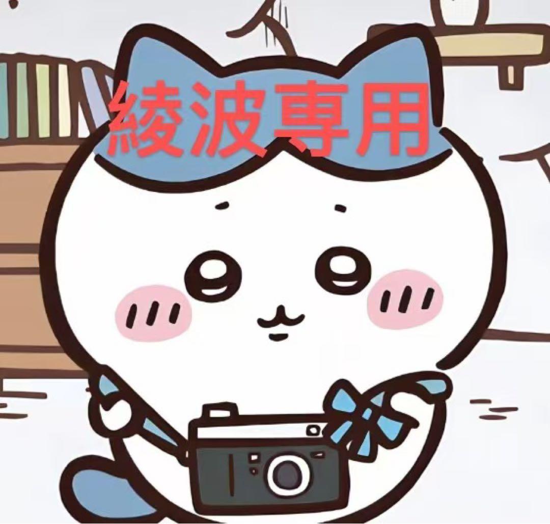綾波専用
