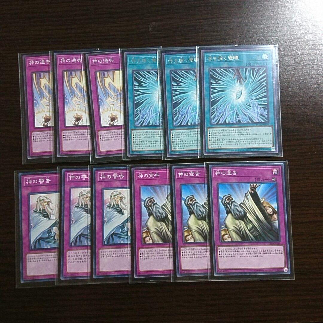 遊戯王【モルガナイト ヴェルズ】デッキ オピオン スリーブ付.