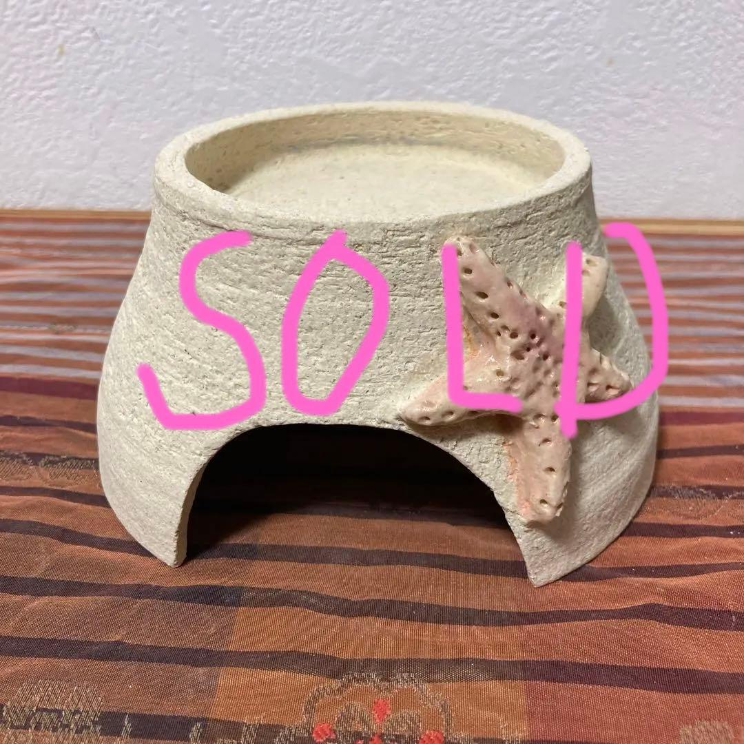 爬虫類シェルター　405 ヒトデピンク