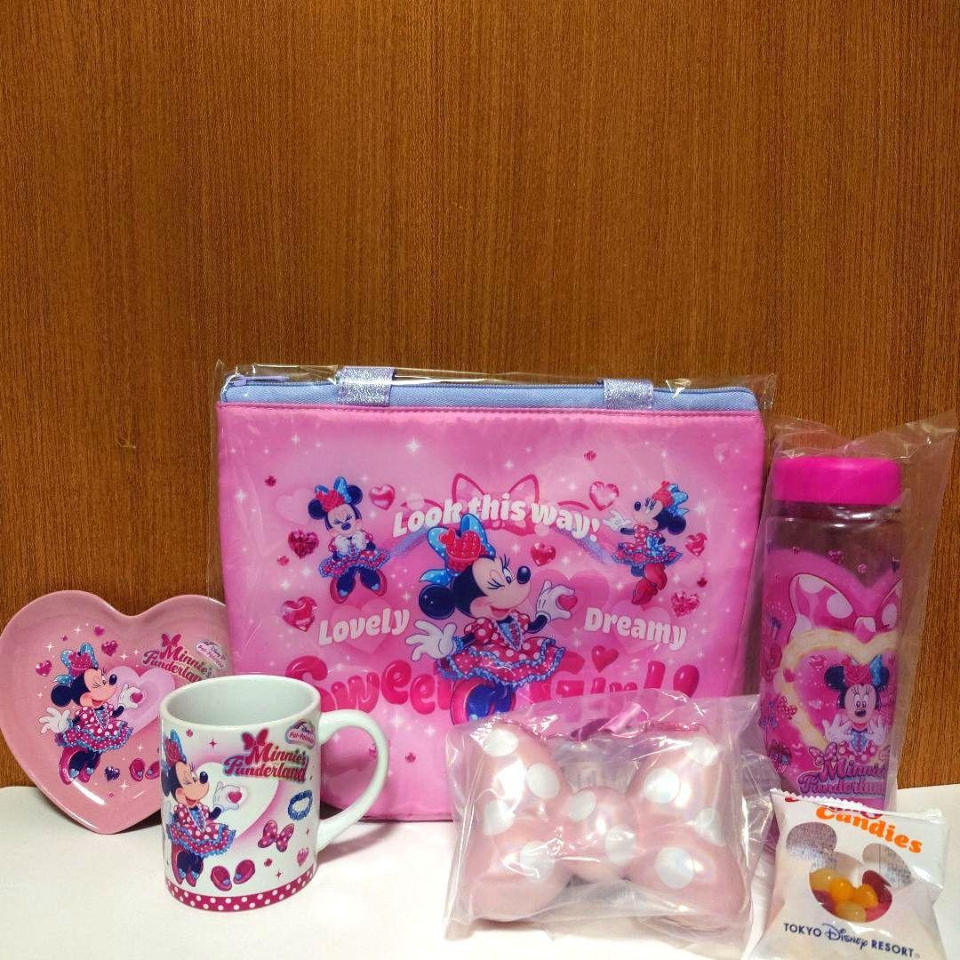 ミニーのファンダーランド　スーベニア5点セット