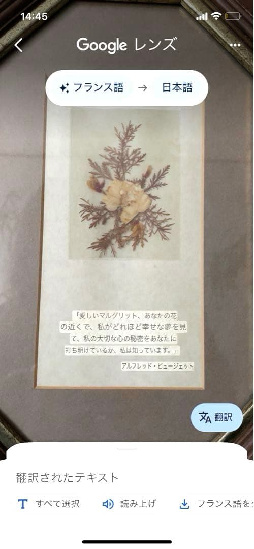 フランス製♡押し花アートフレーム♡幸せメッセージ入り♡ペア♡