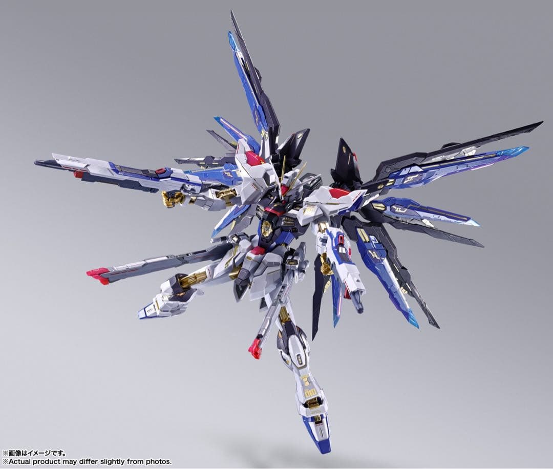 ストライクフリーダムガンダム L BUILD FESTIVAL 2024