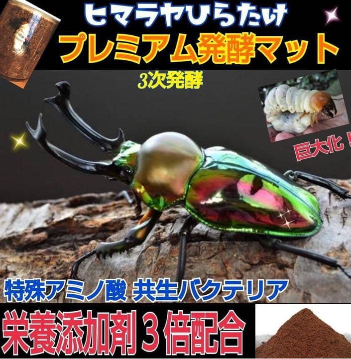 ミヤマクワガタ、ノコギリ幼虫に抜群！800mlボトル入プレミアム発酵マット20本
