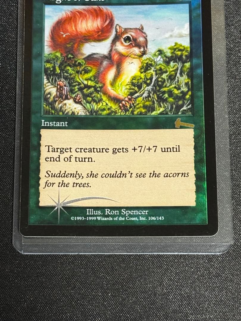 樫の力　mtg foil
