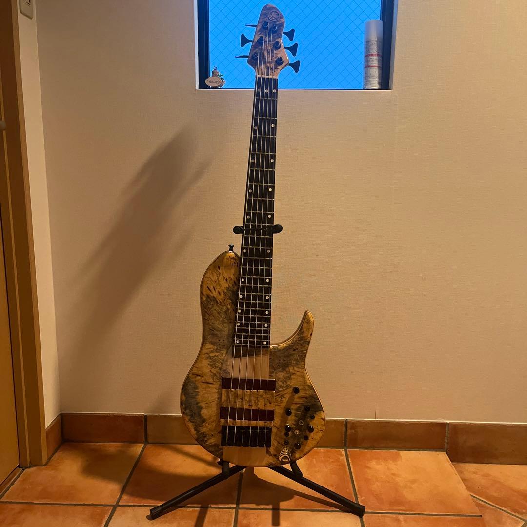 ベース Phoenix/PHS-6 SC Buckeye Burl