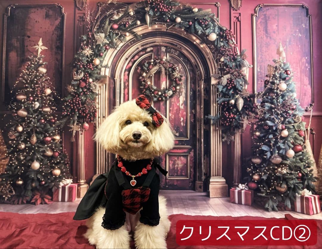 背景布【お正月I】サンプル　縦長　ペット撮影用ブース年賀状　梅の花　和柄　赤富士