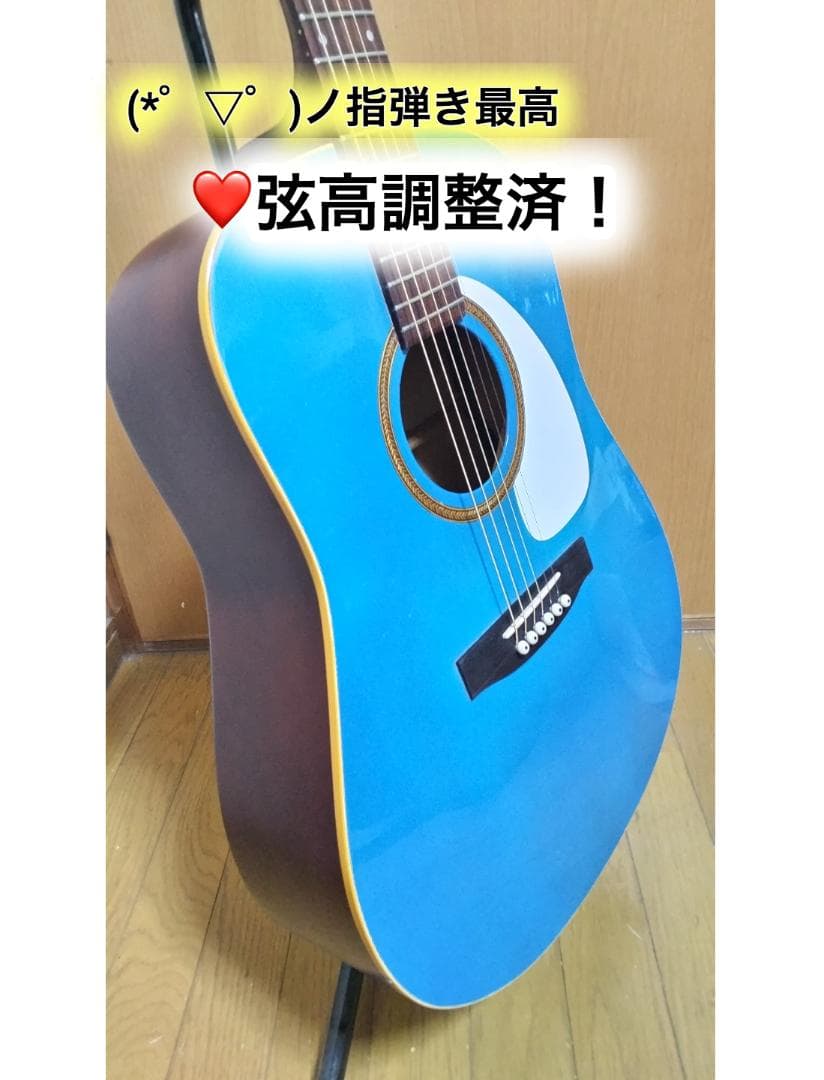 ❤️弦高調整済「seagull S6 + SPRUCE」(*゜▽゜)ノ指弾き良し