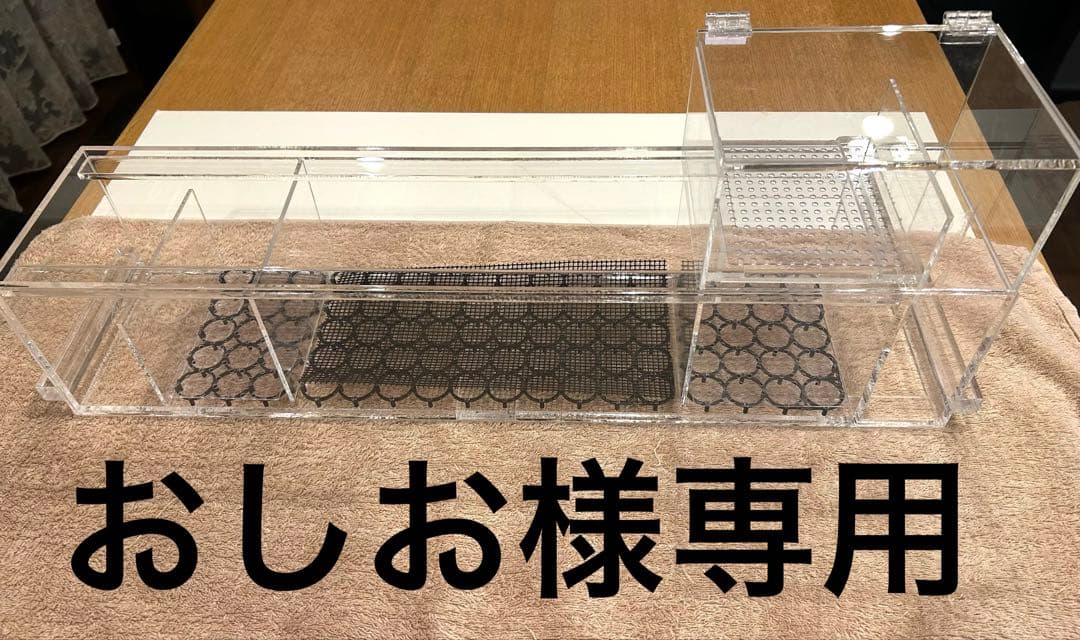 おしお