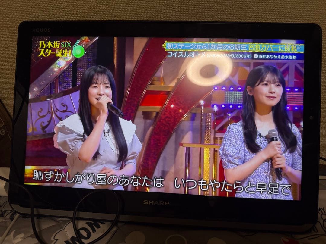 SHARP AQUOS 大画面薄型テレビ