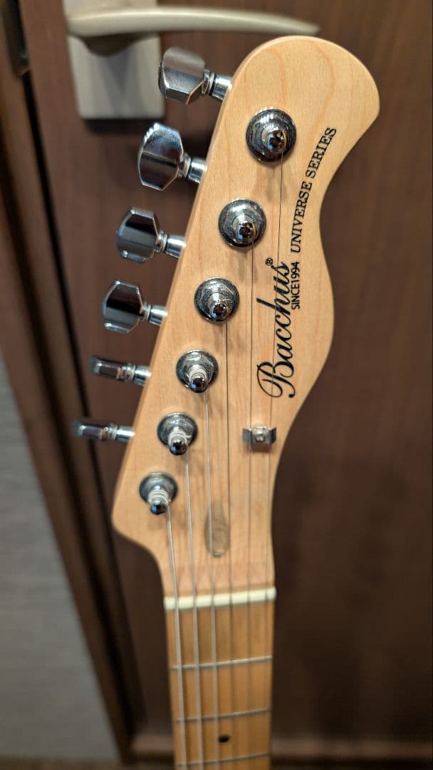 【本体ジャンク】Bacchus BTE-1M ＋EMG/GOTOH製パーツ