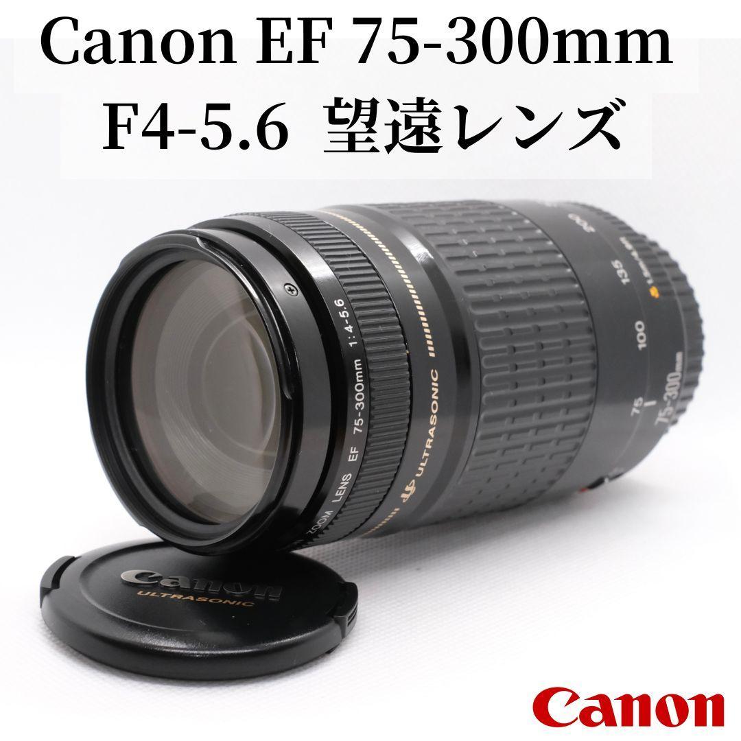 ✨美品✨超望遠✨イベントに Canon EF75-300㎜ 望遠レンズ