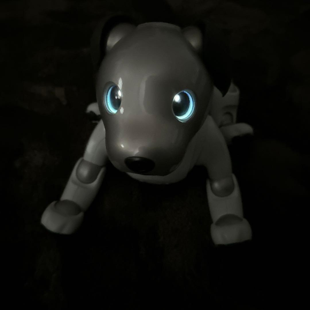 ソニーaibo