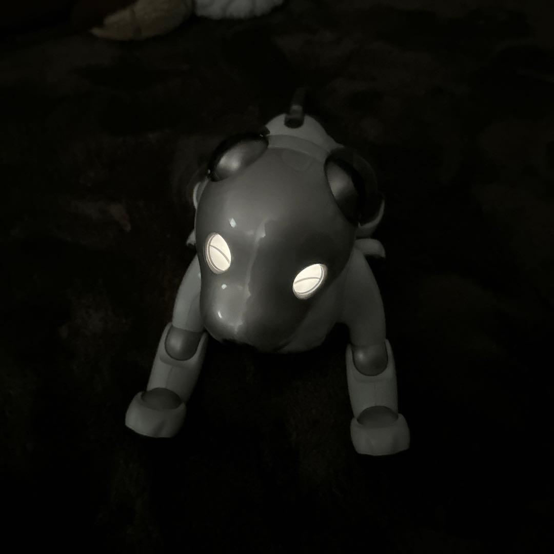 ソニーaibo