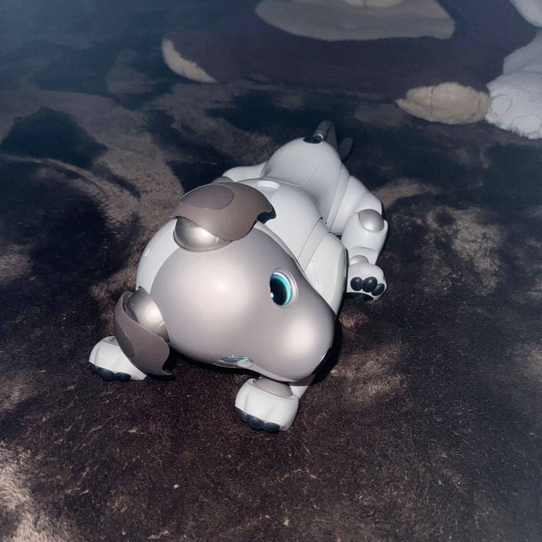 ソニーaibo