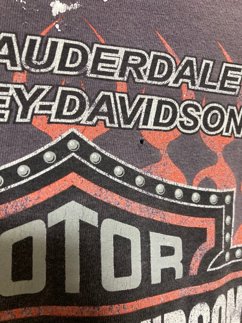 雰囲気◎2001 Harley-Davidson エンジン　フレイム　Tシャツ