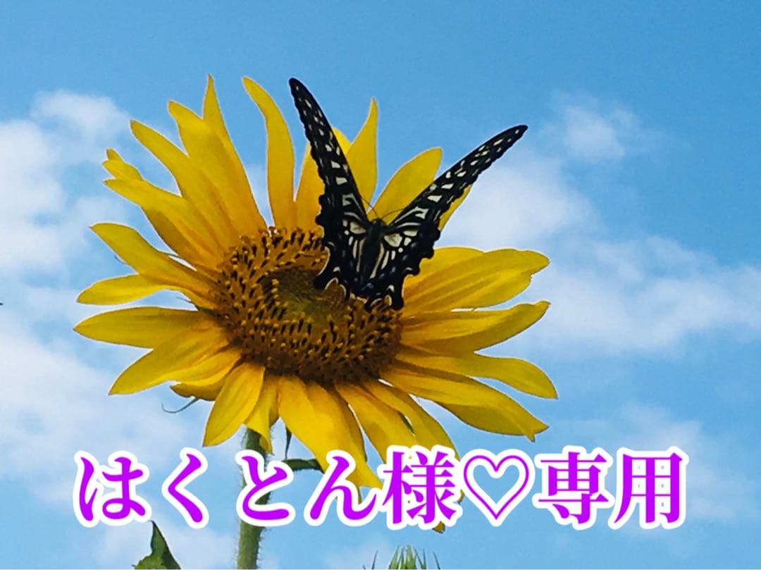 はくとん様❤️おまとめ専用ページです。1/19まで♡