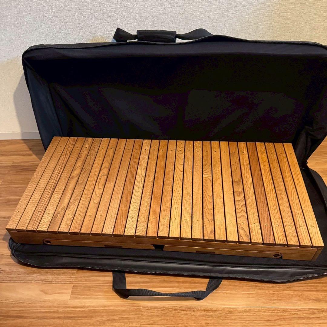 WWW_EXTENSIONTABLE ケース付き