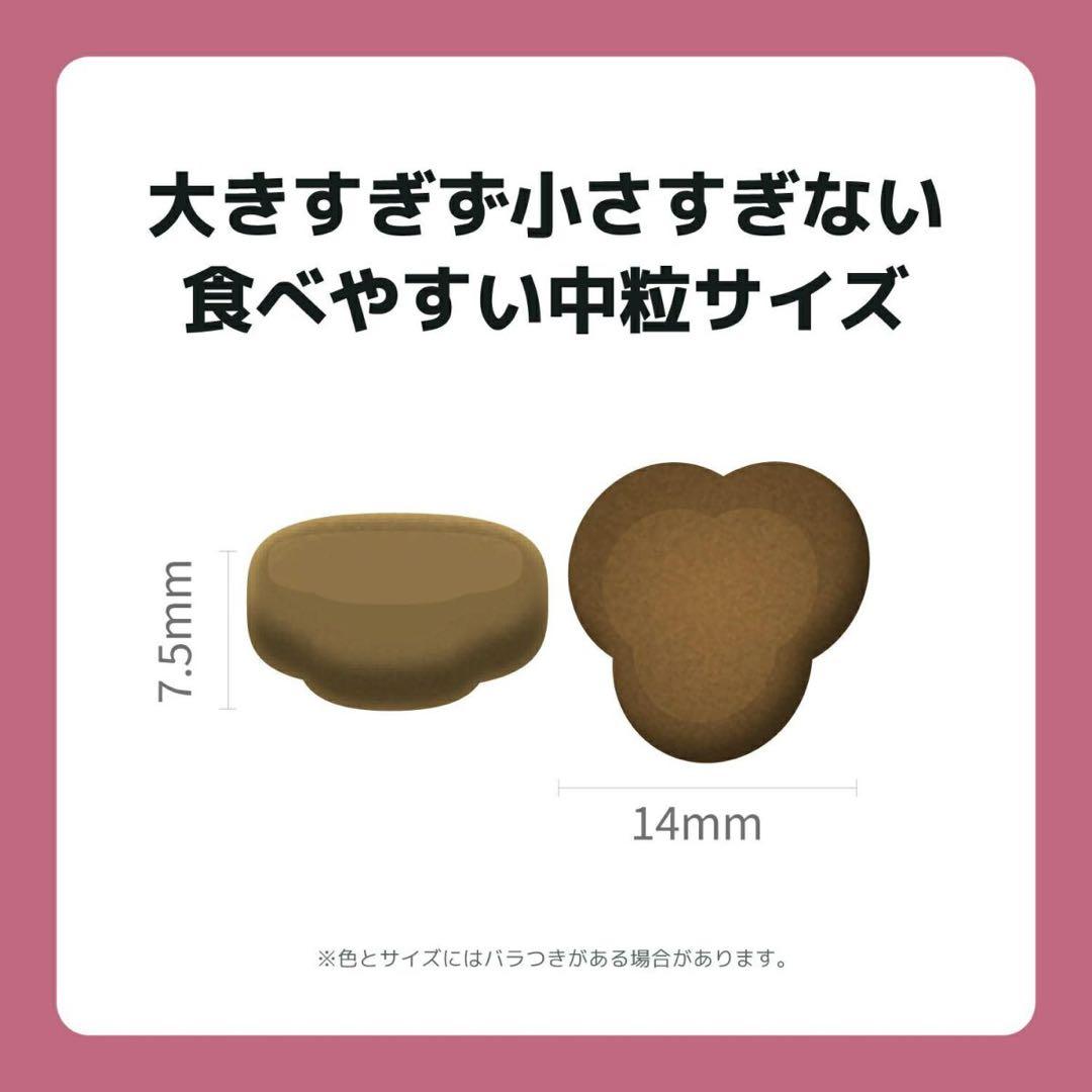 INUMESHI・フィースト　体重管理用・1歳以上　全犬種用　15kg