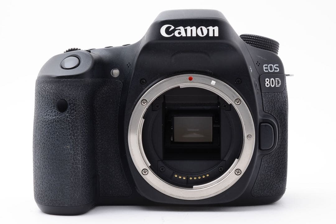 デジタル一眼レフカメラCanon EOS80D標準&望遠ダブルレンズセット