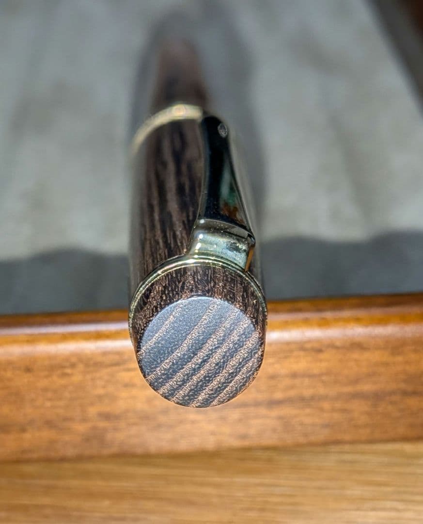 パイロット万年筆 カスタム 槐 中字(M)