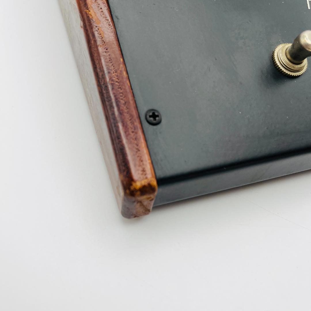 Moogerfooger MF-101 + EP-2 初期モデル 説明書付属