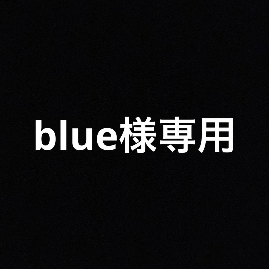 専用ページです