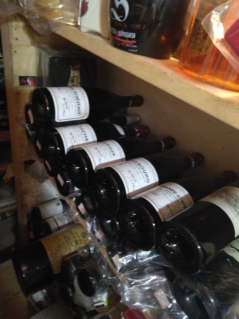 エゴンミラ－今月末限定