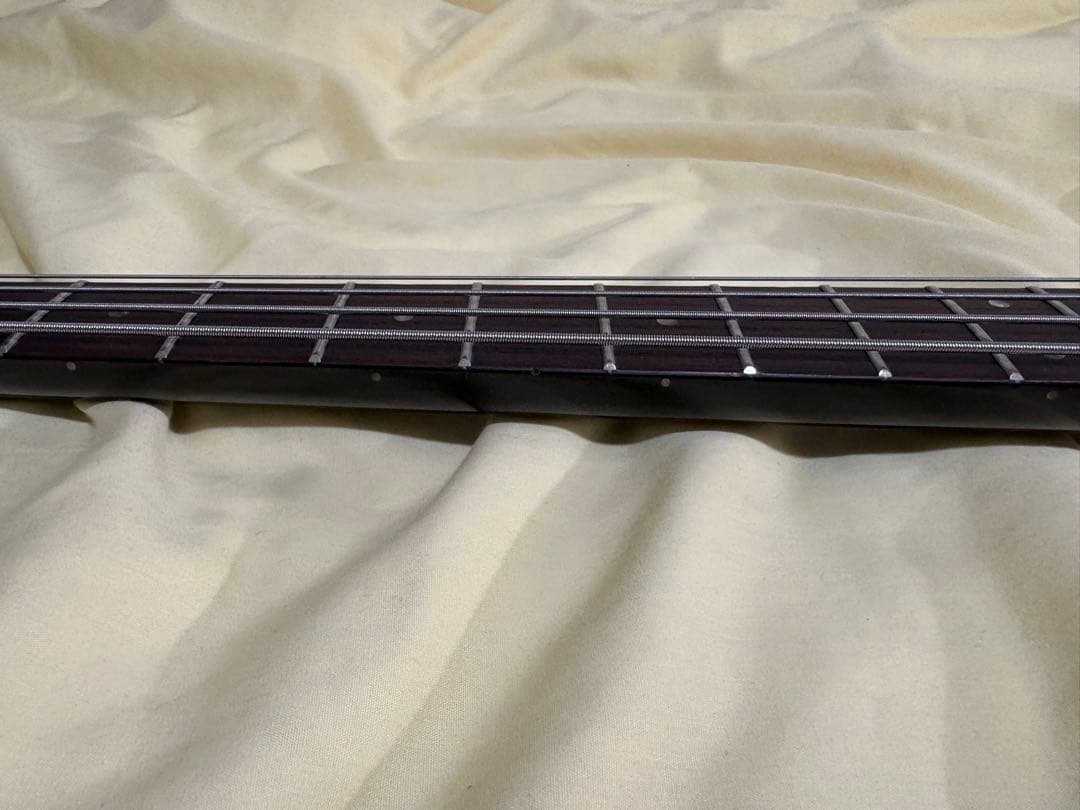TOKAI SPACEBERGER EMG搭載 Steinberger