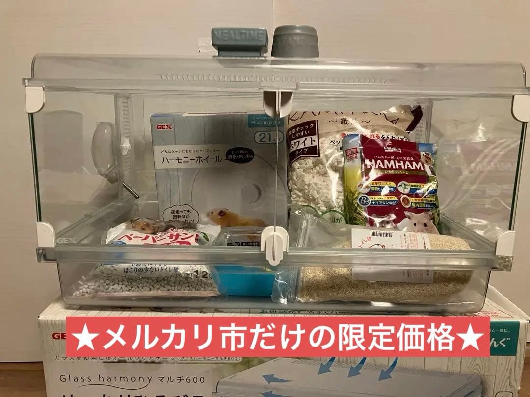 ★グラスハーモニーマルチ600＆飼育セット★ゴールデンハムスターにおすすめ