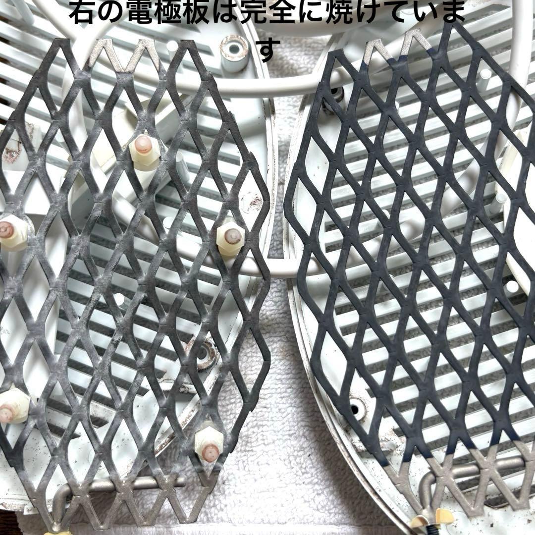 kanatans20131品