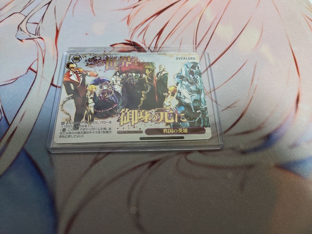 救国の英雄 PR+