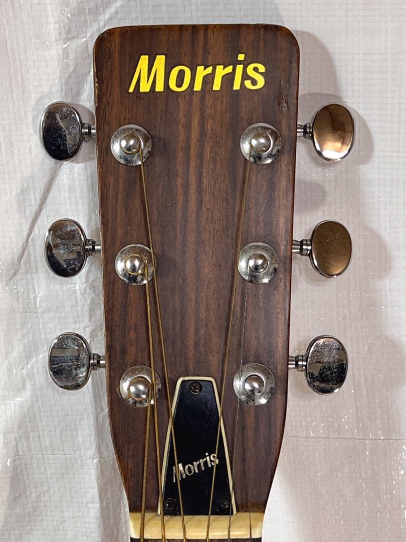 ジャパビンMorris モーリスF-15 1975年 寺田楽器